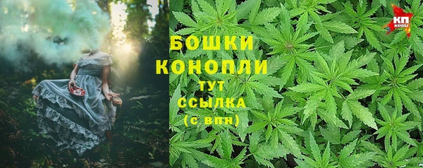 мдпв Дмитров