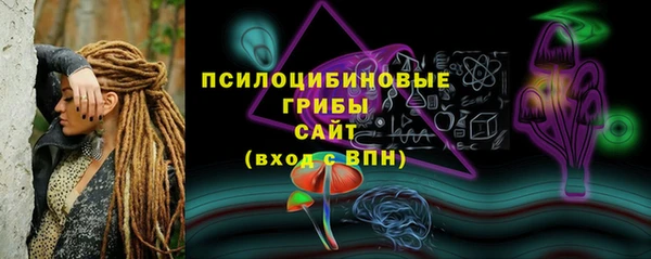 ГАЛЛЮЦИНОГЕННЫЕ ГРИБЫ Балахна